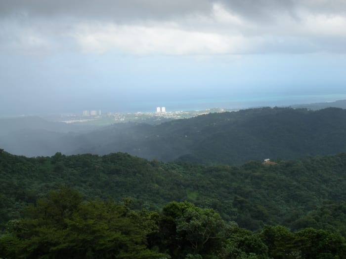 View from the top in El Yunque. You can see clear to the ocean and the beachfront resorts!