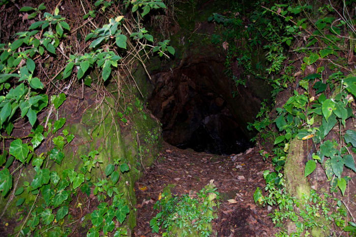 "Coyote Hole" prospector's digging. The eternal search for mineral wealth on La Tigra.