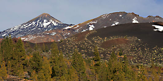 The western approach to the park along TF-38, and from left to right beyond the last of the Canary Island Pines, we see three very different volcanic structures - Mount Teide, Pico Viejo and the black cinder cone of Volcan de la Botiga