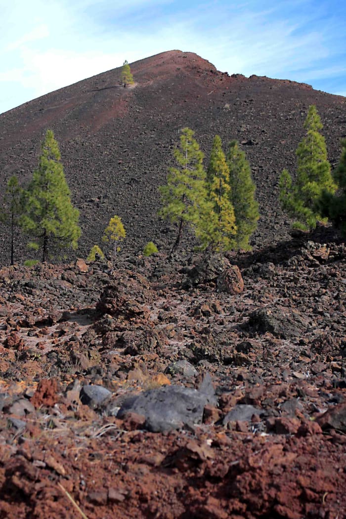 The landscape surrounding El Chinyero - site of the most recent eruption in 1909