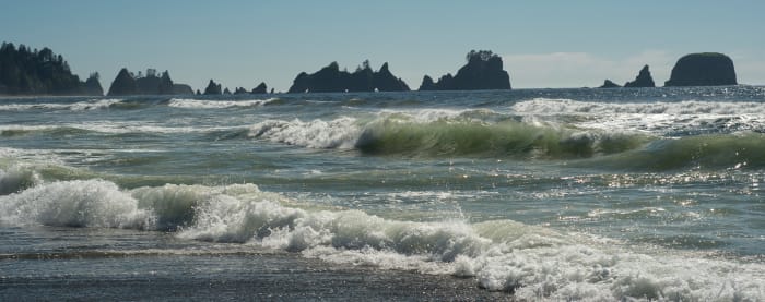 Point of the Arches at Shi Shi Beach