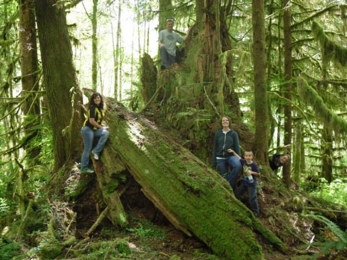 The rain forest on the Olympic Peninsula is full of beautiful hikes that will take your breath away.