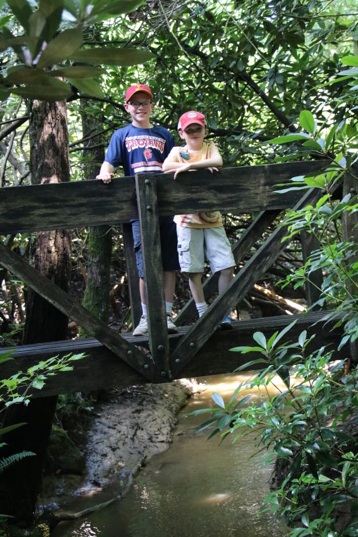 Spring, summer, and fall offer unique vistas in the New River National River area. Each season offers a beautiful view, with flowers, lush greenery, or beautiful fall foliage.