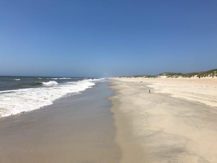 This was our beach view near where we stayed in Ocracoke during the height of tourist season. It was us and the shore birds all day long.