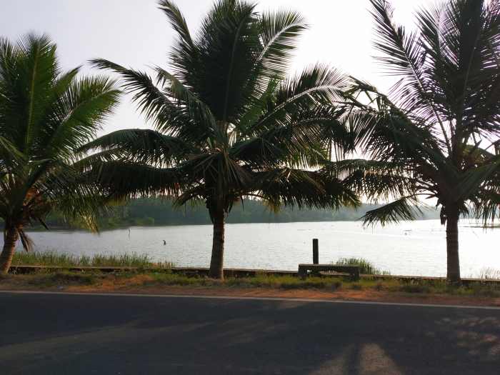 The countryside around Nagercoil