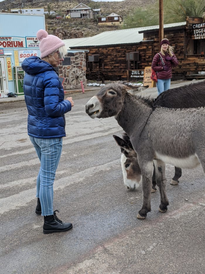 A couple of burros chatting with my wife on Main Street in Oatman, AZ.