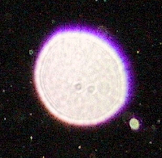 A close up shot of a purple orb.