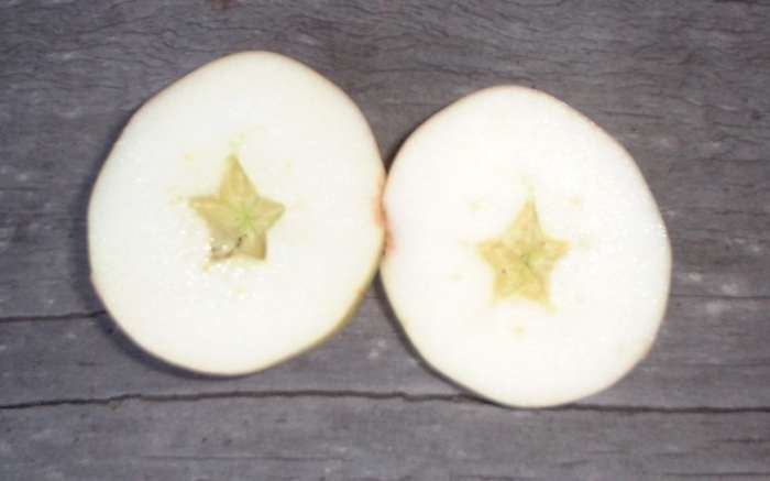 Inside the food of the dead, we find the symbol for continuing life. Use that to help transform yourself this time of the year.