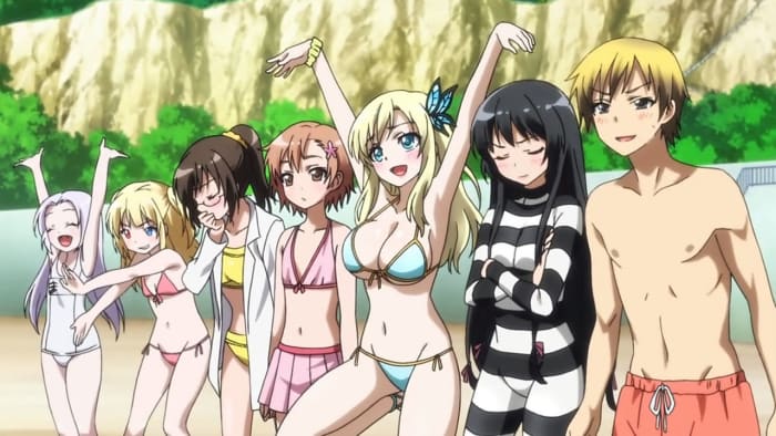 best-Harem-anime