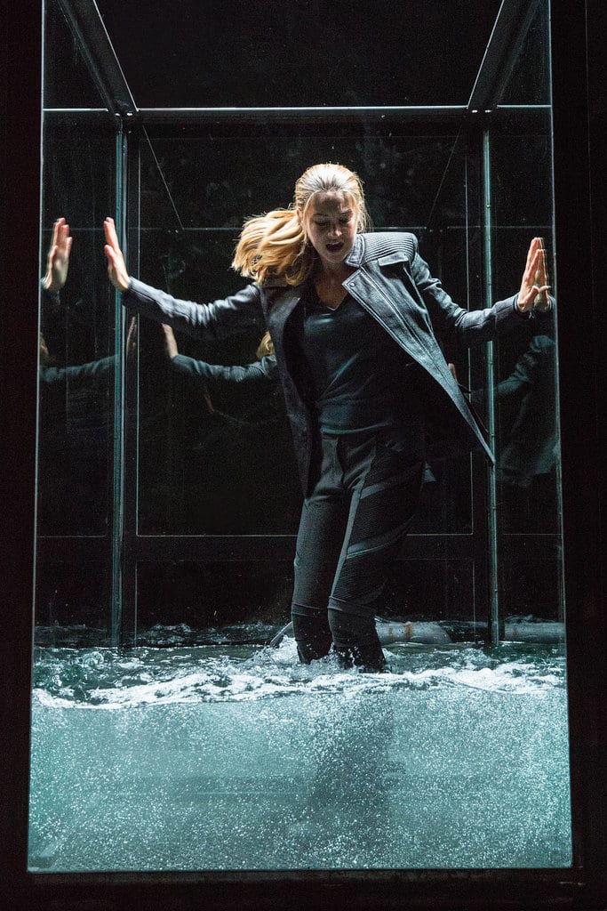 Image from: www.popsugar.com/entertainment/Divergent-Movie-Pictures-30511040?stream_view=1#photo-33897874