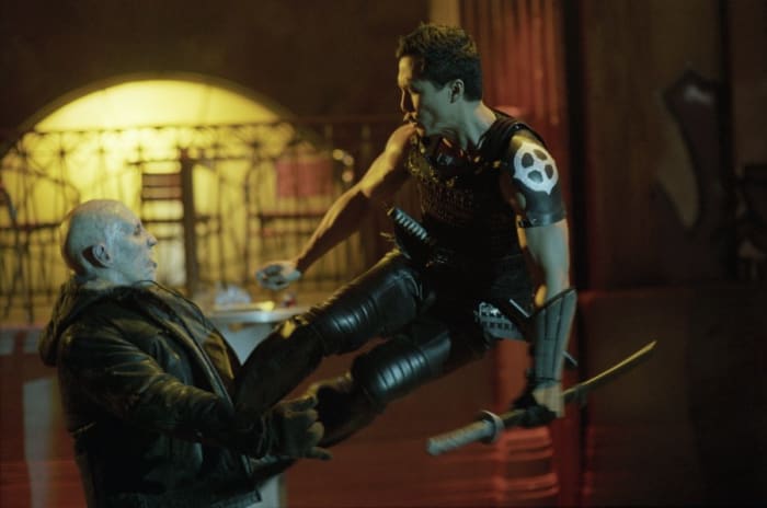 Donnie Yen also tried to break into American success during this time. Blade 2 was one of his roles. The movie didn't showcase much of his abilities.