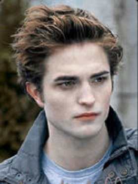 Midnight Sun is Twilight told from Edward's point of view. His struggle with loving Bella is seen through his eyes.