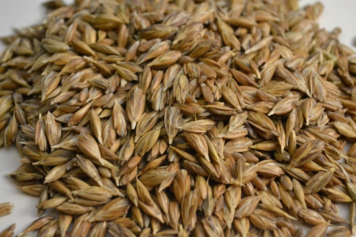Wheat is a very valuable item for long term food storage. It can be used for pie crusts, breakfast food and making biscuits. Once milled the bran can be a beneficial livestock feed.