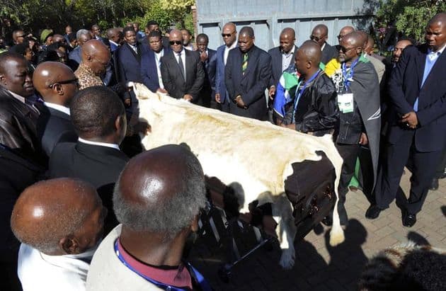 Local Chief Matanzima drapes the coffin of former South African President Nelson Mandela in a lion skin at Mandela's home in the village of Qunu, Eastern Cape as Mandela's grandson Mandla (R) looks on