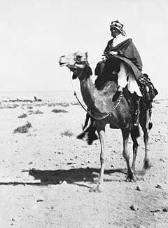 TE Lawrence, "Lawrence of Arabia," was one of the architects behind building the "Pandora's Box" that Iraq became.