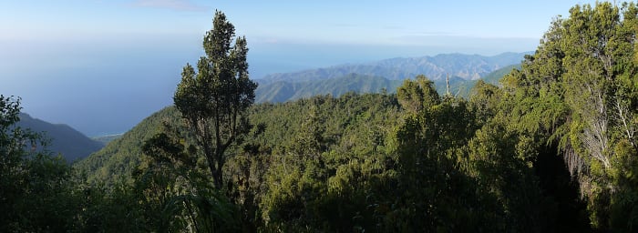 The Sierra Maestra, in the east of Cuba, harboured the army organized by Fidel Castro in the late 1950s.