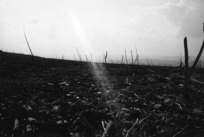 After years of zinc smelting, the Lehigh Ridge in Pennsylvania is now dead - a sobering reminder of man's destructive power over the wilderness.