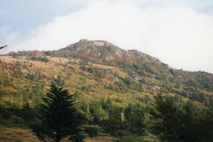 The Grayson Highlands State Park in Virginia is a welcome escape from the "green tunnel."