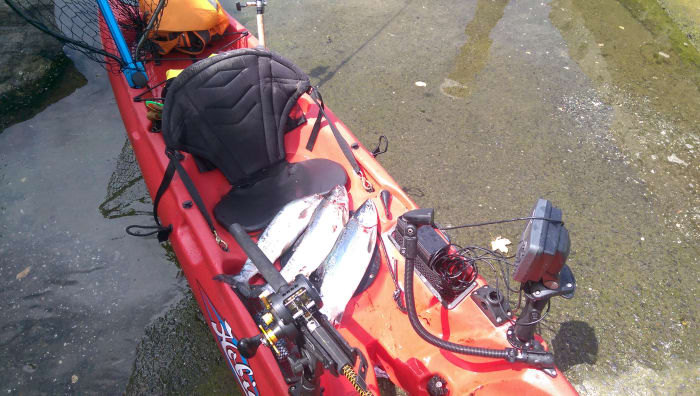 That's me with a kayak full of pink salmon! Caught while trolling with a diver, flasher, and Silver Horde spoon.