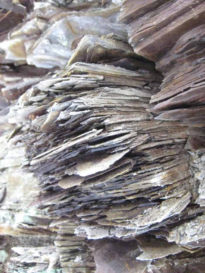 Fragile shale undercuts most of the ravines in Chestnut Ridge Park, so don't stand too close to the edge.