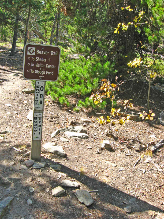 It seems to take 5 times longer than it should, but finally you reach the top. The trail is well-marked throughout, and it's easy to find your way.