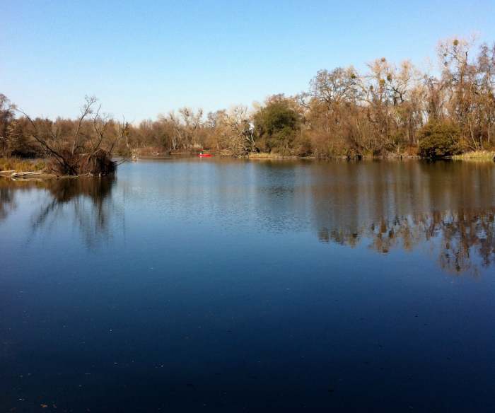 A short, relatively easy nature trail at Lodi Lake Park travels along the lake and the Mokelumne River.