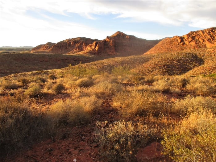 Many of the Saint George Hiking Trails will take you directly into The Red Cliffs Desert Reserve, which borders the northern edge of the city, photo by author