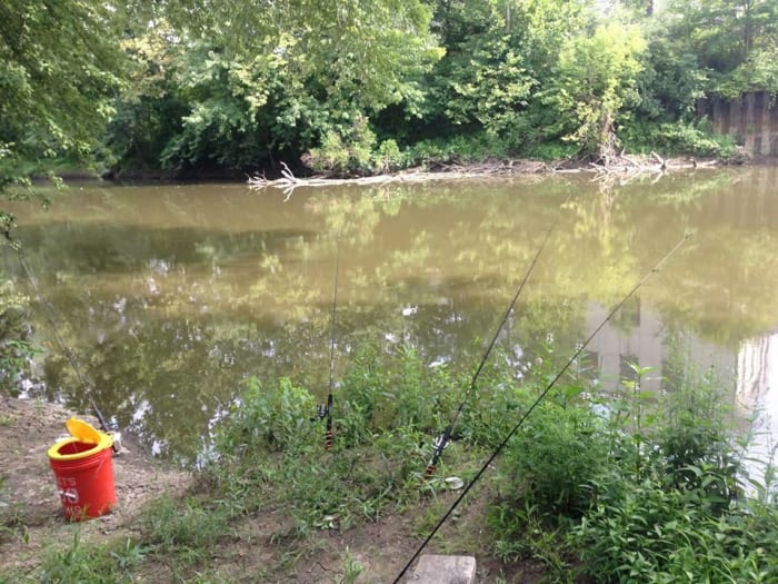 The mouth of a tributary is a great place to fish for these monsters; double bonus if there is submerged timber.