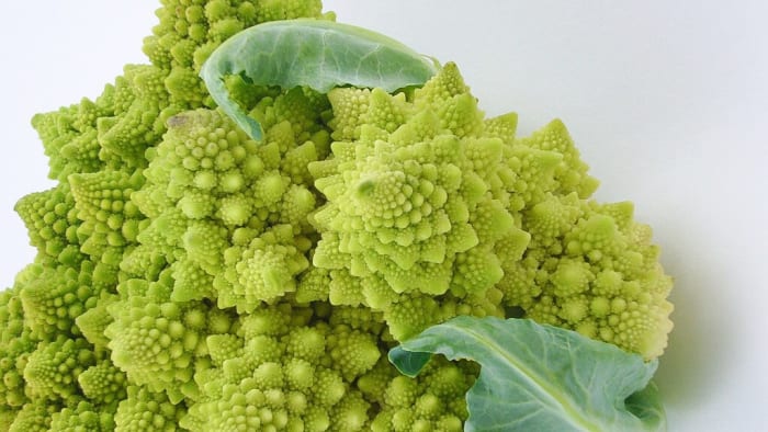 Romanesco broccoli, or Romanesco cauliflower, has a natural fractal design. A fractal has a repeating pattern at all levels of magnification.