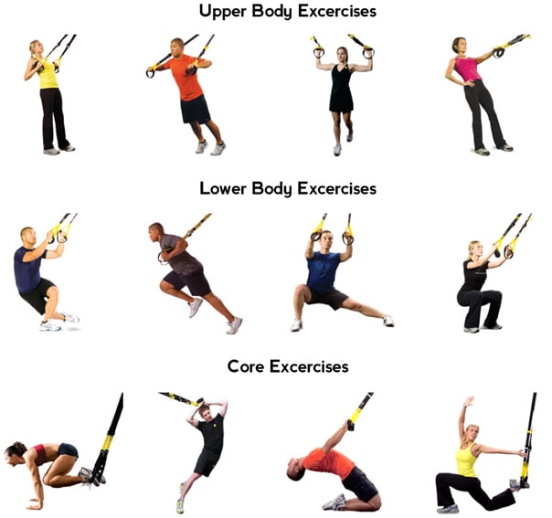 Suspension Training TRX Facts And Posters - CalorieBee