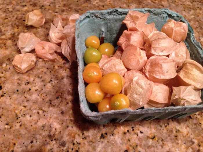 Ground cherries are in the family of tomatillos- just one of the many types of new produce that I tried on the whole30!