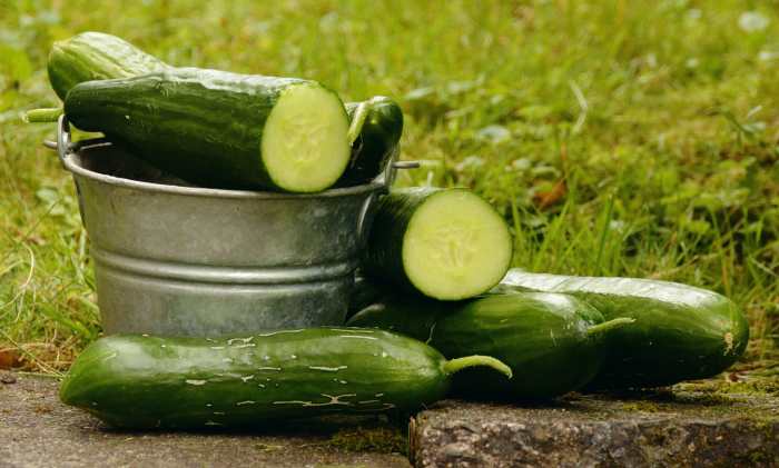 Cucumbers are a good neutral green to add to a too sweet juice mix. They also contain a lot of juice.