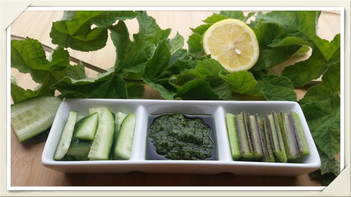 A raw vegan dish of cucumber and common hog weed stems served with a lemon juice, wild garlic, and nettle pesto.