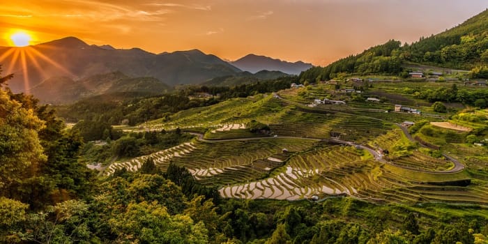 Rice fields can be beautiful places, but the safety of the rice grown there depends heavily on the quality of the water it grows in.
