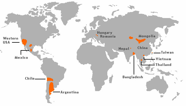 A map of areas where high natural occurring arsenic levels are found in the groundwater. Rice grown in water contaminated with arsenic will absorb it.