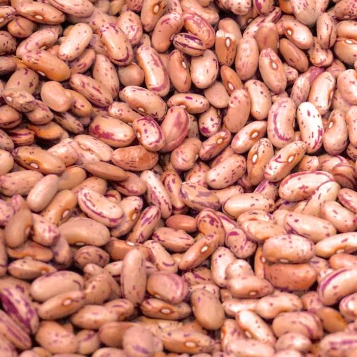 Beans are nutrient dense and a great source of protein. No wonder they are a staple in so many cultures around the world.