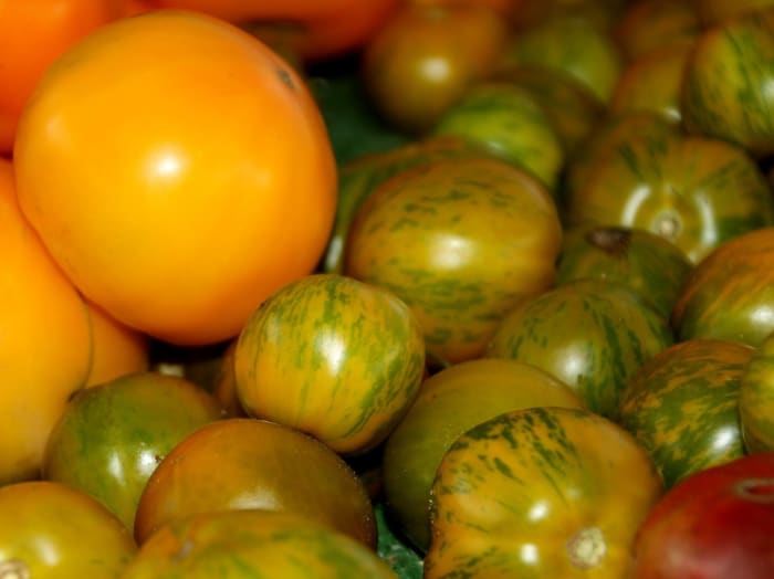 Local farmer's markets are a good place to find different types of tomatoes.