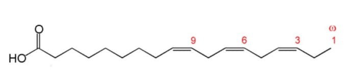Figure 6: Structure of an omega-3 fatty acid. Modified from “Chemical structure of alpha-linolenic acid showing differing numbering conventions, created with ChemDraw” by Edgar181 is in the public domain.