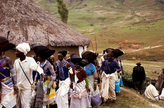 The bride must never go near the cattle kraal in which her husbands father or grandfather are buried or where the ancestors of the family are believed to reign. However, if she opens her own homestead with her husband, she may go near the kraal of th