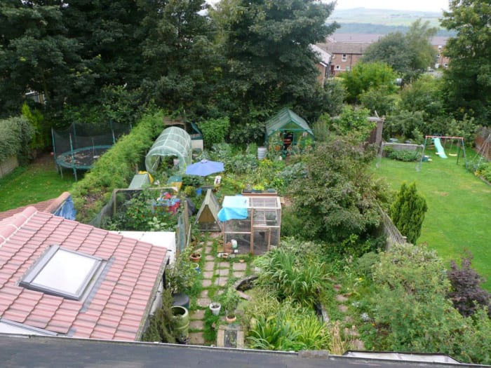 Homegrown permaculture garden in Sheffield, UK. Growing companion plants of different levels together—like the Native American corn, beans, and squash—alleviates the need for manmade fertilizers and pesticides that pollute.