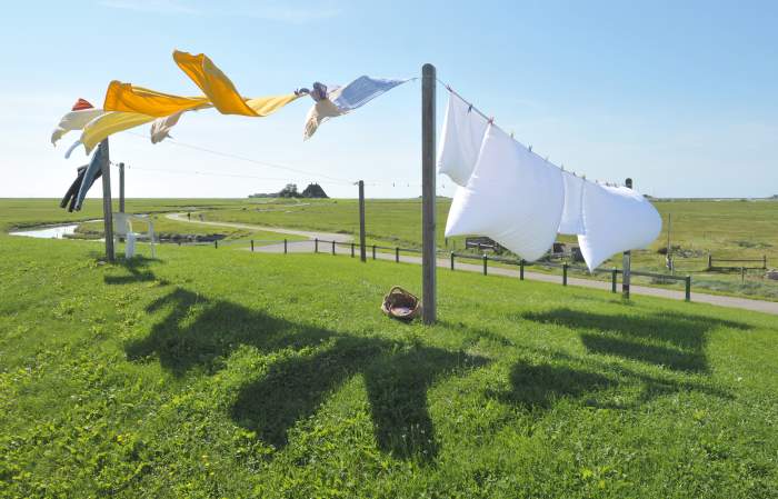 A clothesline can simply be lines and posts as well.