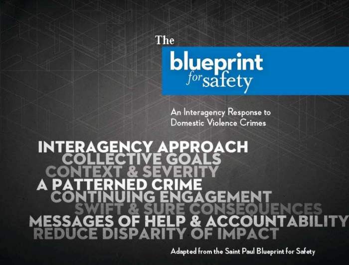Documents and resources developed for communities adapting, implementing, and sustaining The Blueprint for Safety.