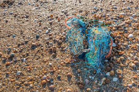 Discarded Plastic Fishing Lines Can Last 600 Years And Pose A Danger To Marine Life! Coloured nylon wire from ropes and fishing nets and other debris washed ashore