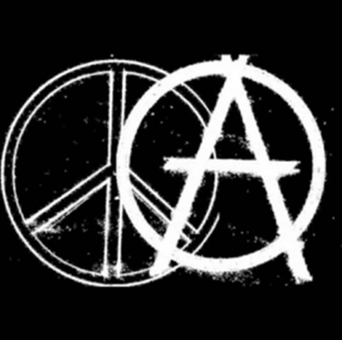 Anarchy and Peace -- No coercion, intimidation or fraud allowed. Any other form of anarchy is just hatred, bullying and lying.