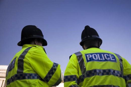 Police on London have offered a 10,000 Euro reward to anyone who provides information that leads to the capture of the cat killer.