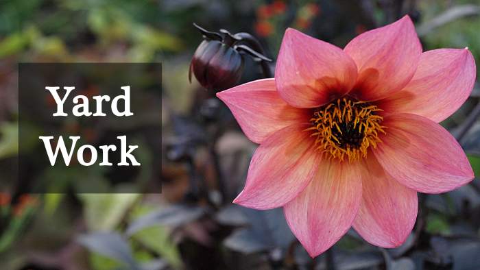 With a yard work fundraiser, all you need is some youth group muscle power to earn the cash.