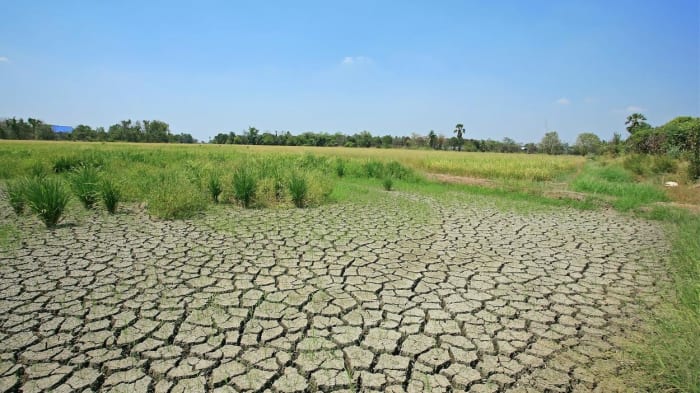 Some of the world's rich farmland areas will suffer prolonged droughts in a rapidly warming world.