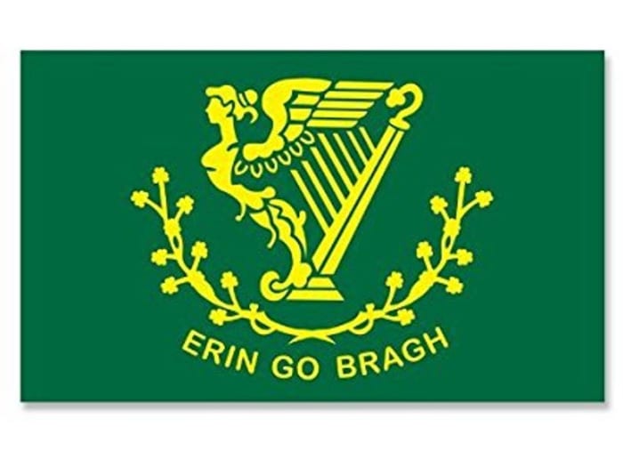 Prior to the tricolour gaining in popularity, the 'Green Flag' with the gold harp had been in common use as a de facto National flag. Today it tends to be popular with a small rump of Hibernian little Irelanders.