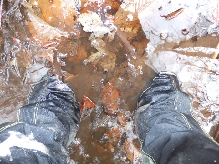 Yes, I am wearing the Gypsum in the picture. After walking in water 6-inches over the top of the shoe, my feet did get wet.