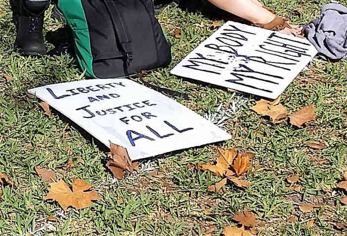 "Liberty and Justice for All" read one sign and another said, "My Body, My Right." Signs at the 2017 Orlando Women's Rally.